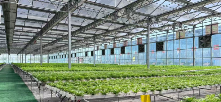 次氯酸發(fā)生器在農(nóng)業(yè)種植中的應(yīng)用案例分析